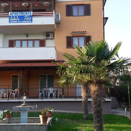Apartments Tea Rovinj Eksteriør billede